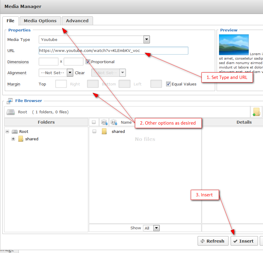 Set 'Type', 'URL', other options, and 'Insert'